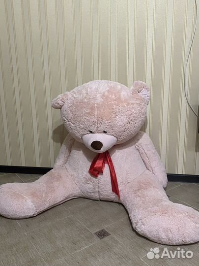 Плюшевый медведь