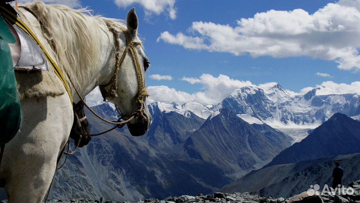 Тур на Алтай/Горный Алтай