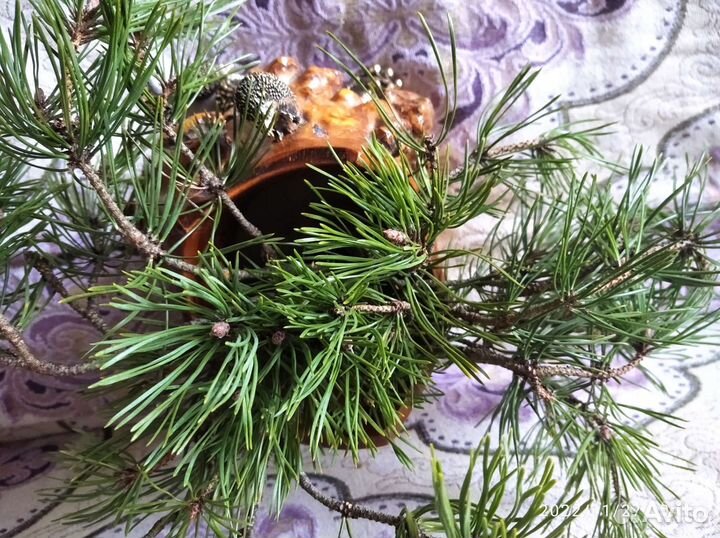 Бронза. Ёжики, семейство. Ваза из капа