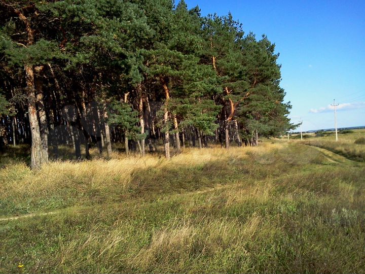 Участок 15 сот. (ИЖС)