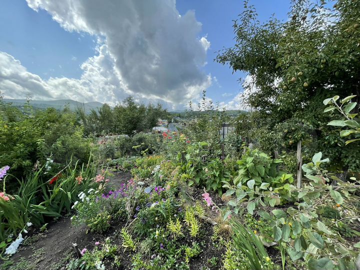 Дача 20 м² на участке 6,6 сот.