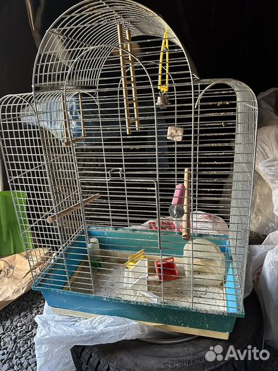 Большая клетка для птиц