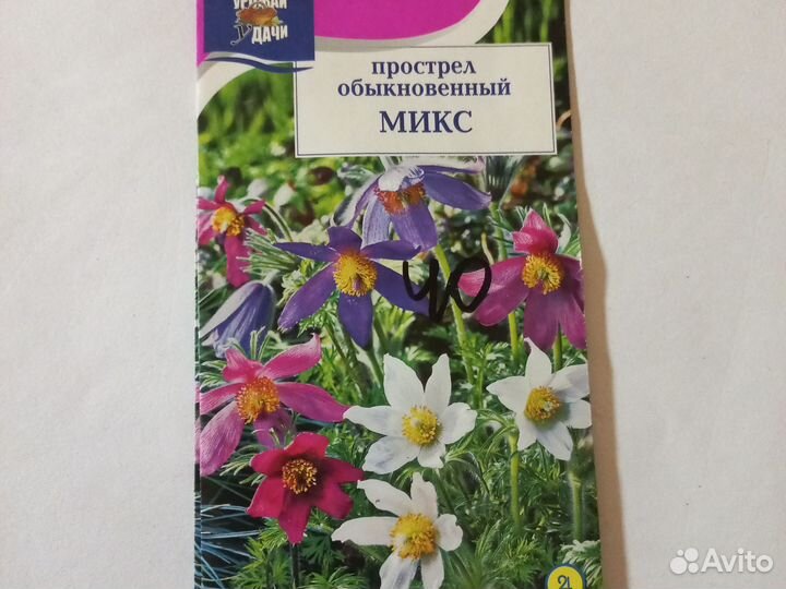 Семена прострел