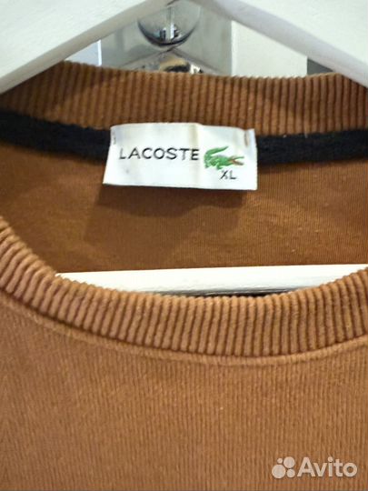 Свитшот мужской lacoste