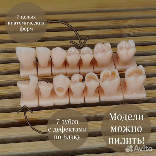Модели зубов для реставрации