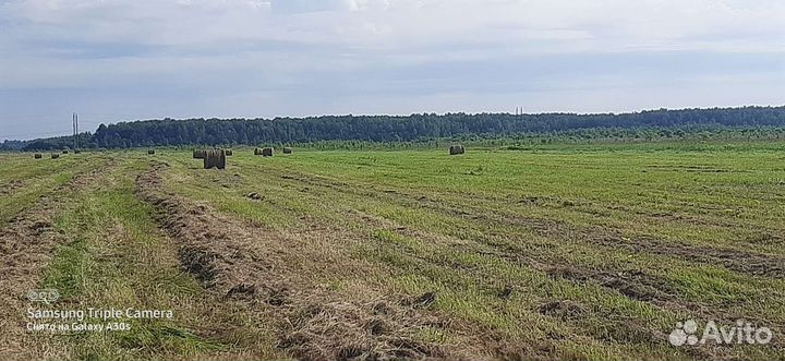 Сено в рулонах 2023