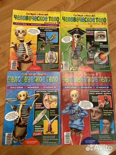 Журналы Человеческое тело и Артём
