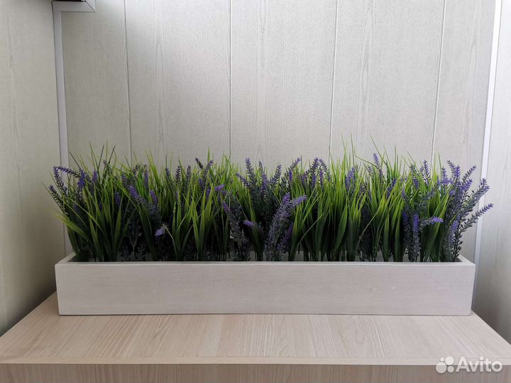 Трава в ящике