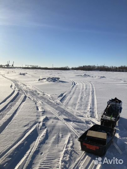 Мотособака