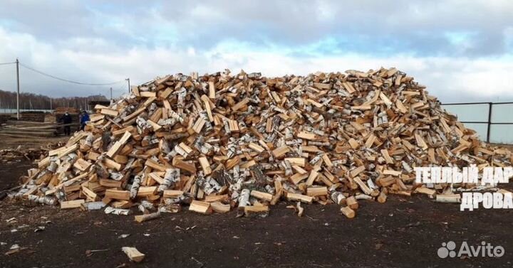 Дрова колотые