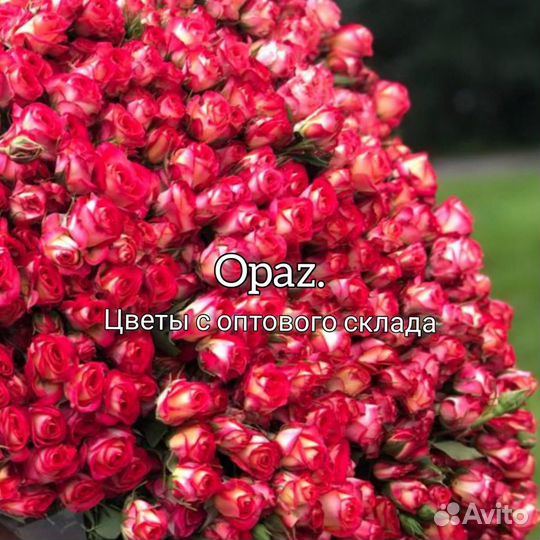 Цветы оптом розы
