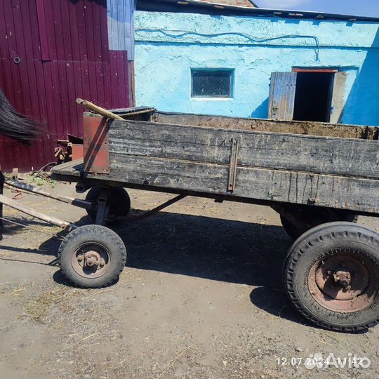 Продажа лошадей