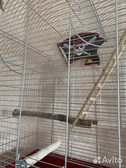 Клетка для попугаев корелла и атрибутика