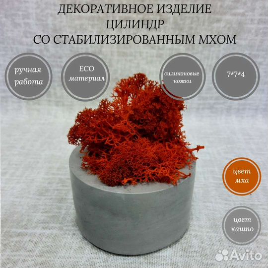 Декоративное изделие цилиндр со мхом