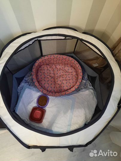 Вольер для щенков в квартиру