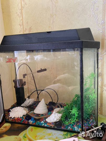 Аквариум