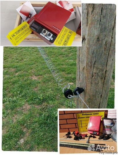 Электропастух