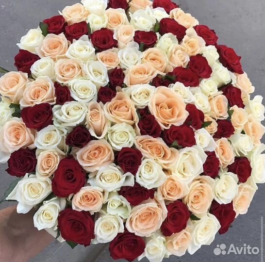 15,21,51,101 букеты роз (крупные розы )