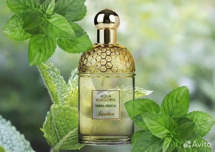 Herba Fresca Guerlain Отливанты