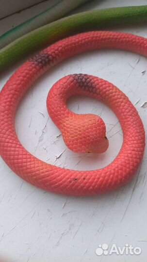 Рептилии игрушки