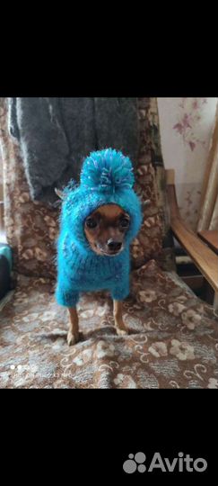 Комбинезон + шапочка