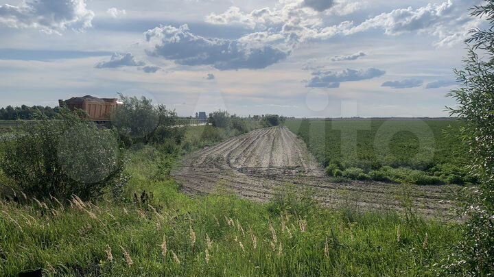 Участок 100 сот. (ИЖС)