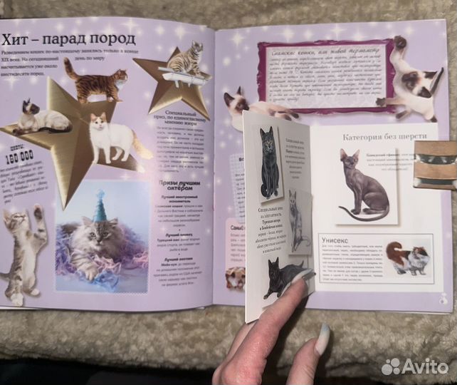Книга про кошек детская