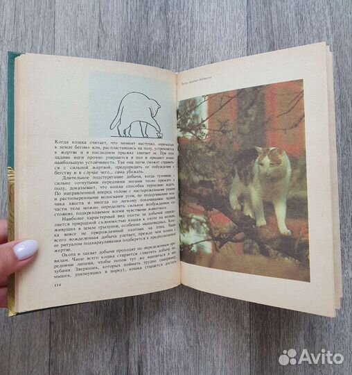 Книги о кошках