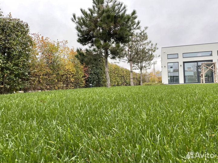 Рулонный газон. Укладка по индивидуальному заказу