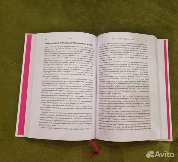 Разум (Д. Сигел)