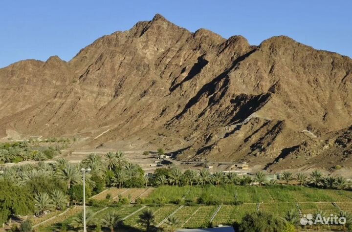 Вояж в Fujairah на 6 дн