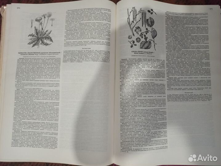 Атлас ареалов и ресурсов лекарств. растений СССР