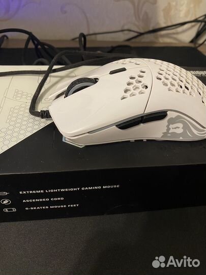 Glorious model o