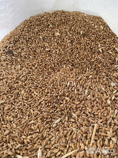 Комбикорма для животных