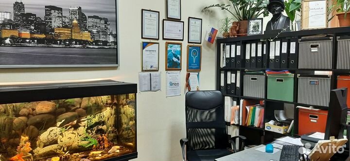 Юрист юридические услуги