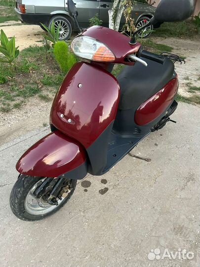 Honda tact 51