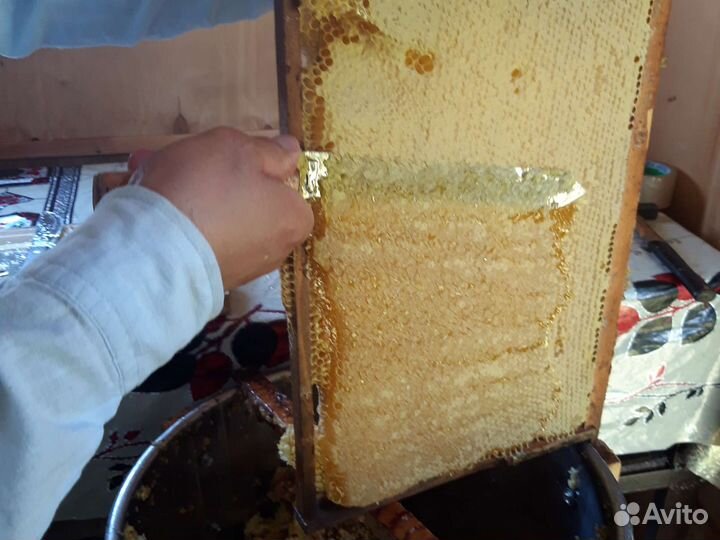 Мёд разнотравие +подсолнух