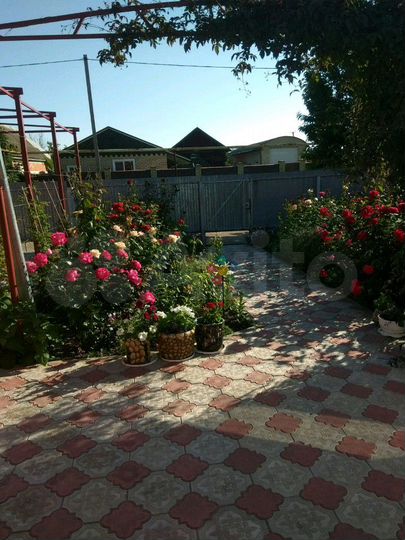 Дом 24 м² на участке 1 сот.