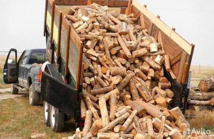 Дрова с Зеленогорска