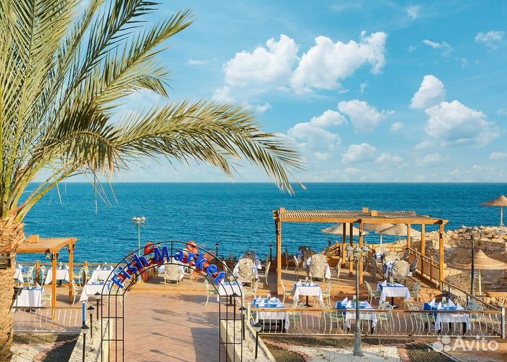 Египет вылет 14.08 на 9 ночей всё включено