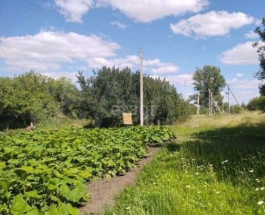 Дом 26,1 м² на участке 76 сот.