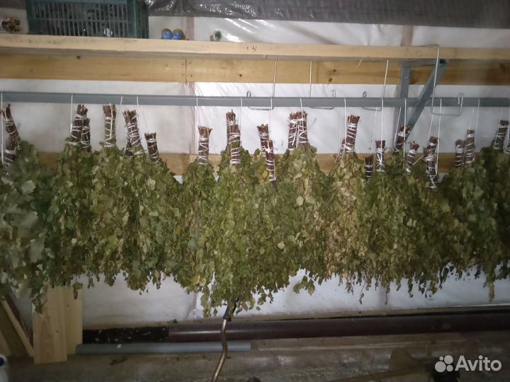 Березовые веники