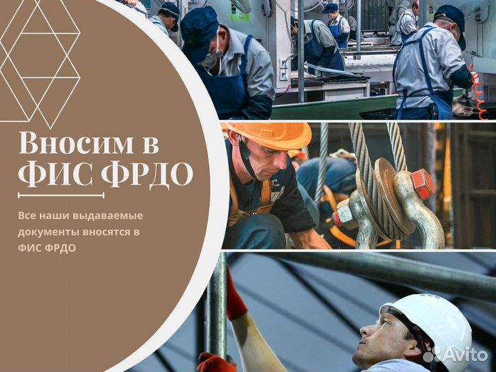 Обучение. Дипломы. Профессии. Корочки