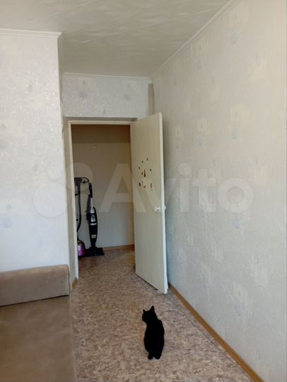 3-к. квартира, 57 м², 2/5 эт.