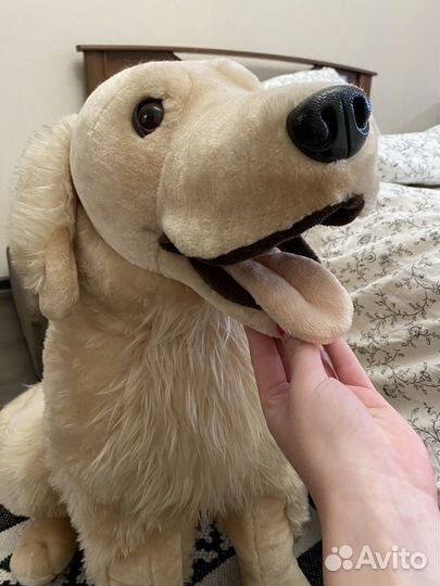 Большая плюшевая собака