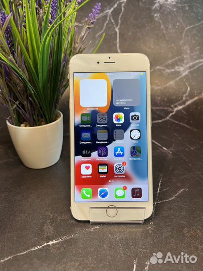iPhone 6s Plus (64 GB) Gold