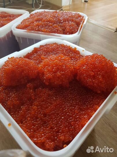 Икра Красная Кеты 2023г