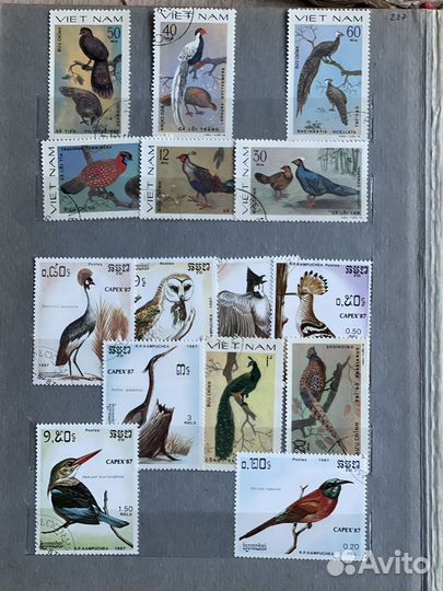 Альбом с марками СССР