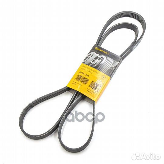 Ремень поликлиновый 6PK1836 ContiTech