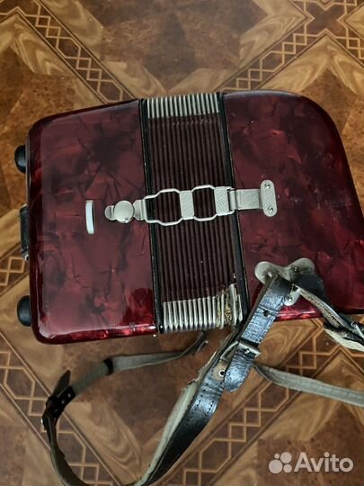 Баян weltmeister